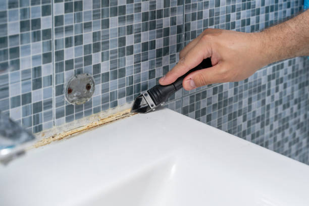Trusted Smithton, IL Mold Removal Experts