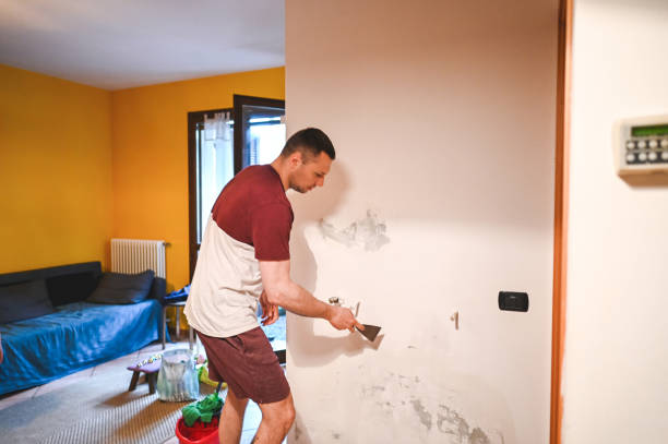 Best Home Mold Removal  in Smithton, IL